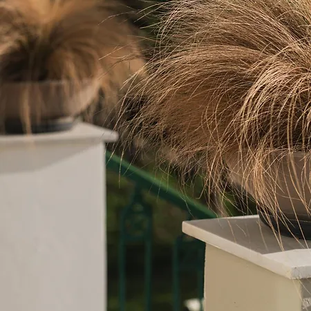 St Nicholas Tsilivi Apts By 